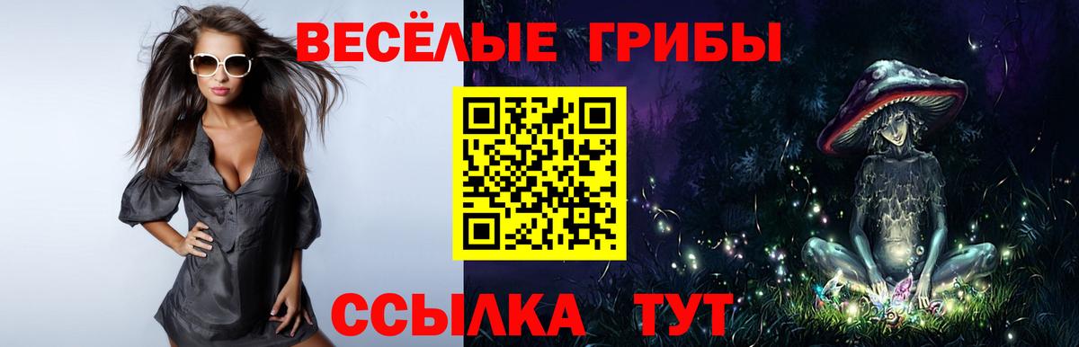 Псилоцибиновые грибы мухоморы  Вход с VPN  Всеволожск 